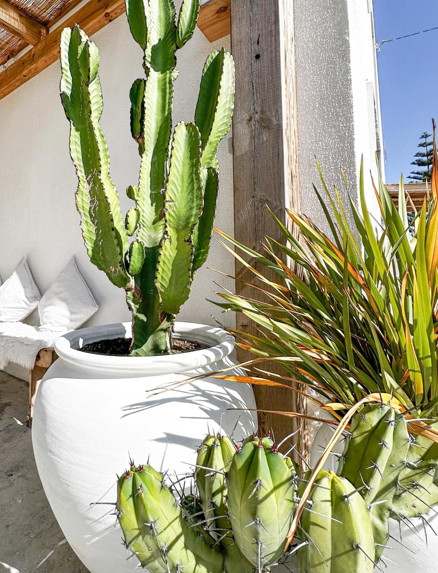Ocean House - Ribeira D'Ilhas Ericeira Hostel Ngoại thất bức ảnh